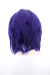 コスプレウィッグ ショートレイヤー バイオレット