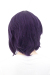 コスプレウィッグ ショートレイヤー バイオレット