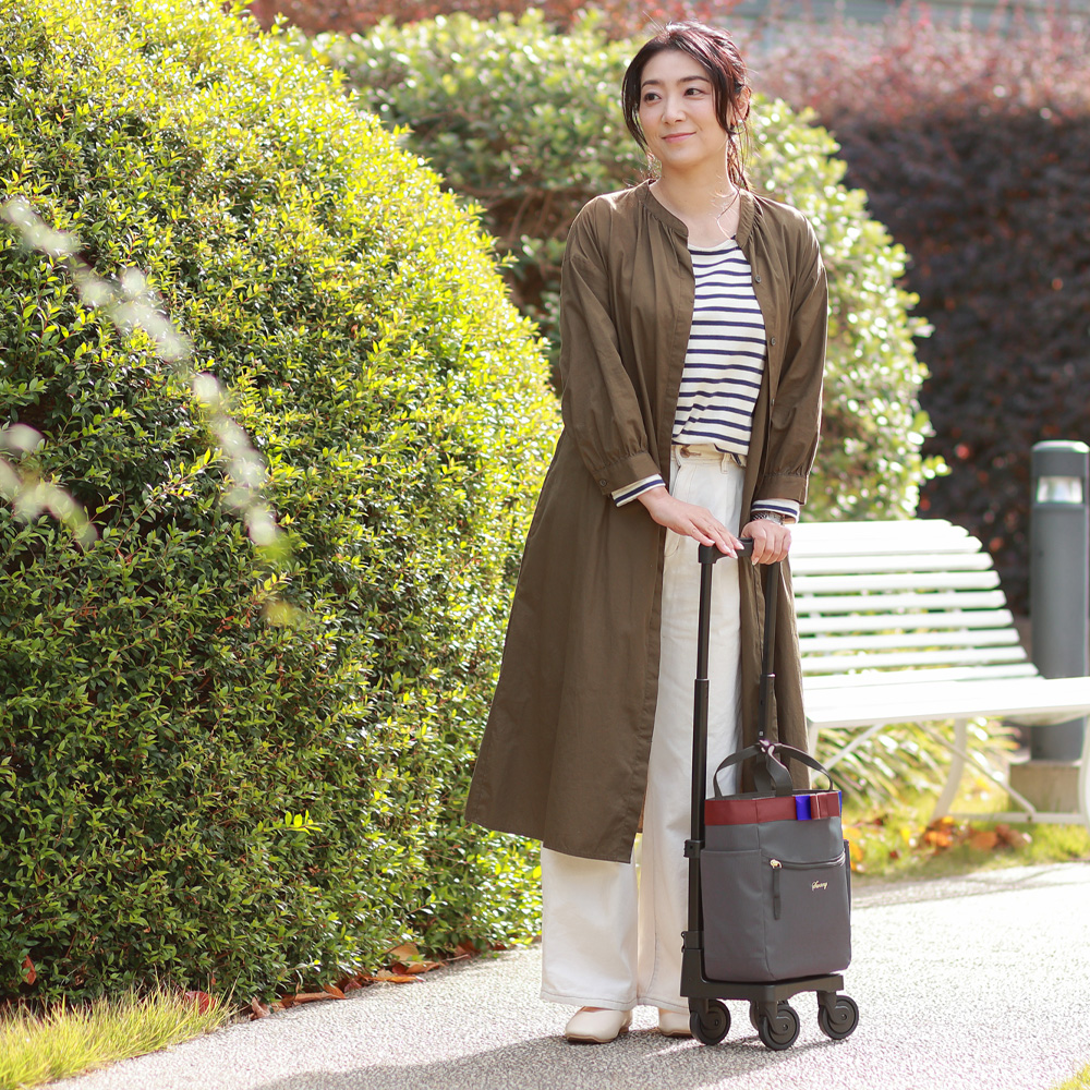 D-675　ルバンド (TS18)　グレー <T2キャスター・4輪ストッパー付>