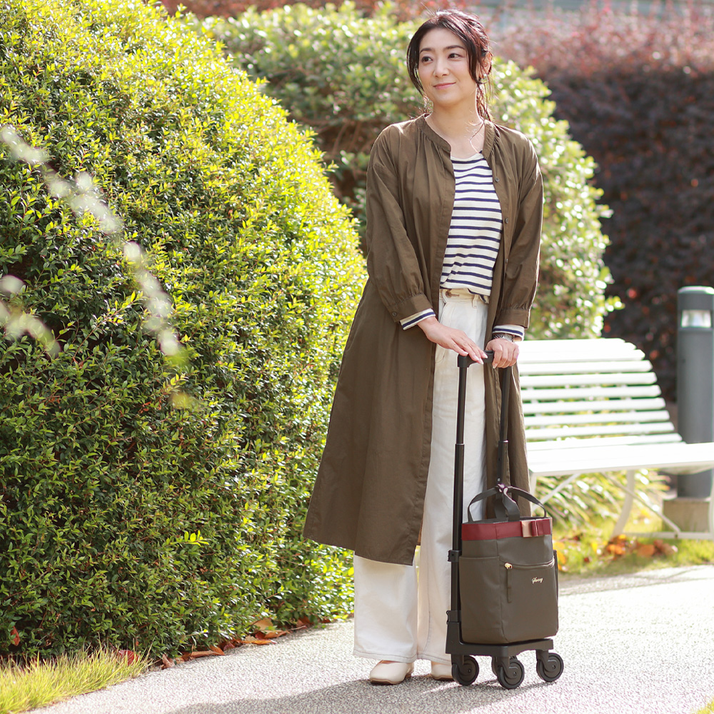 D-675　ルバンド (TS18)　グレージュ <T2キャスター・4輪ストッパー付>