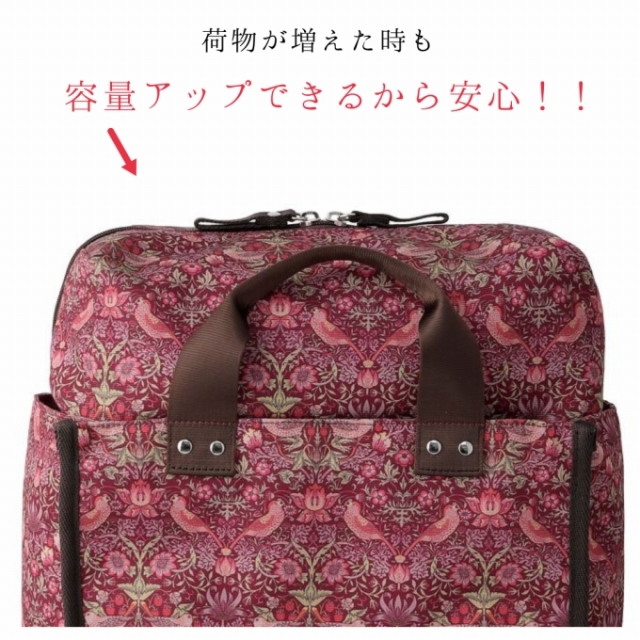 D-640 モリスバイスワニー (L21) ラズベリー <T2キャスター・4輪