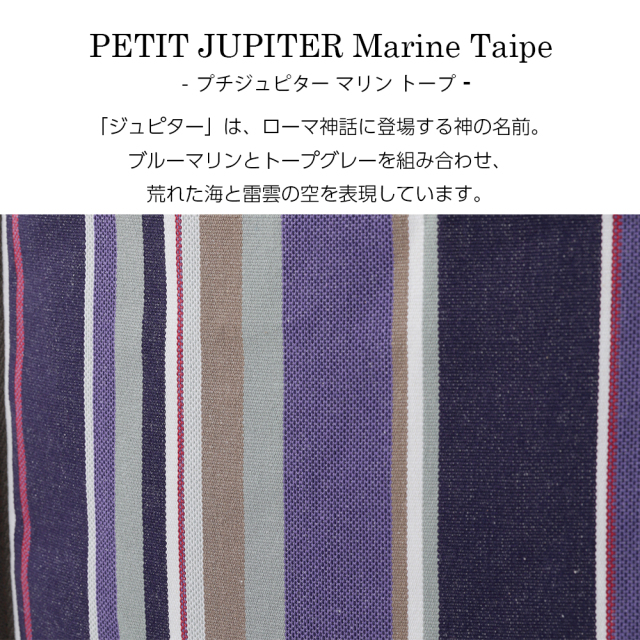 スワニー キャリーバッグ D-695 レ・トワール・デュ・ソレイユ　L21 ラベンダー / グレー <4輪ストッパー・T2キャスター付>