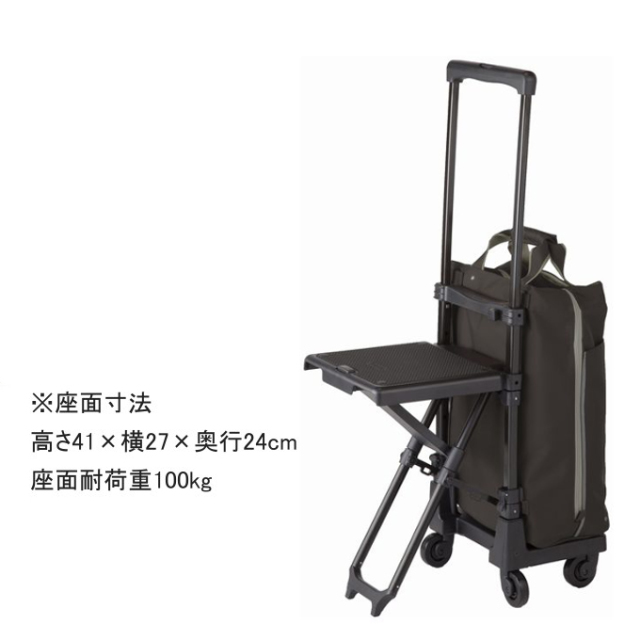 未使用級☆SWANY スワニー D-639 L21 プレーネ 座面付 ブラック D-639 プレーネ 座面付 (L21) ピーチ| キャリーバッグは信頼の