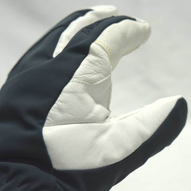スワニーグローブ gore-tex バックカントリー Gentemstick