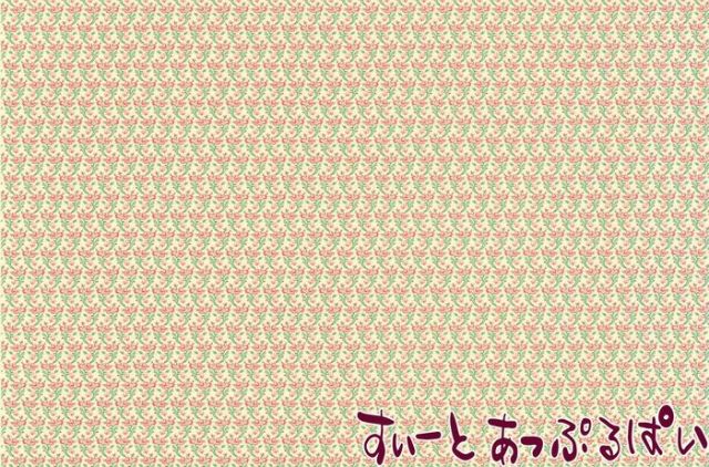 HAM106R