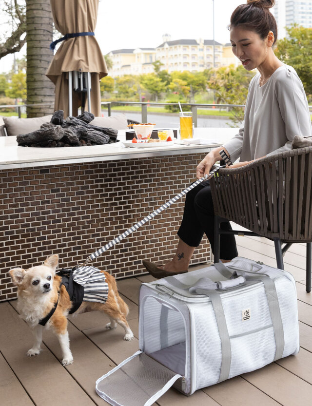 ペット キャリーバッグ 顔出し トートバッグ キャンバス 猫 小型