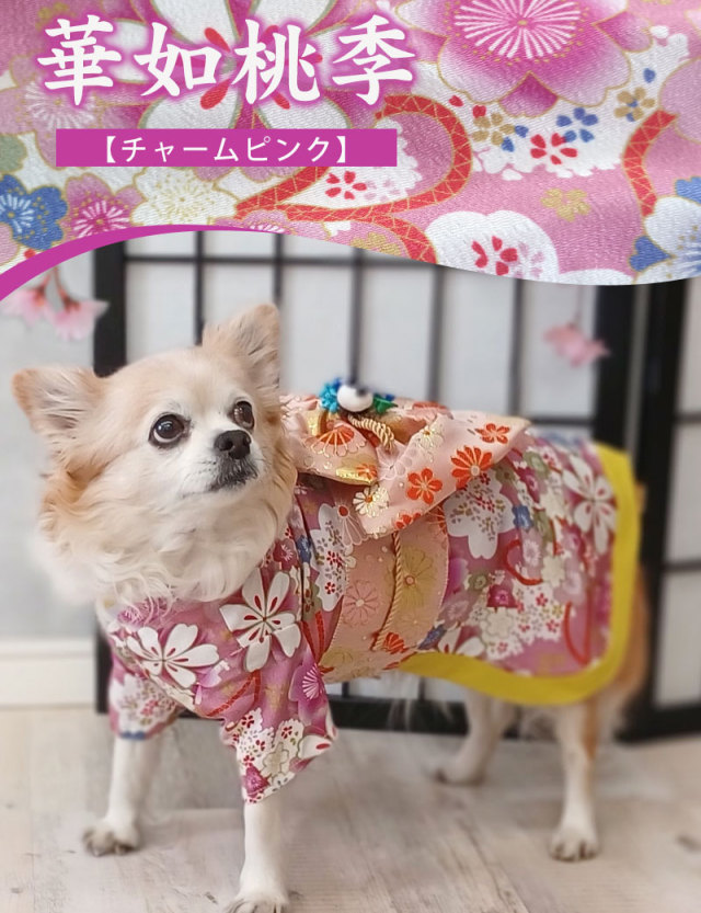 OINUSAMA ONEKOSAMA 着物 古典柄 晴れ着 和装 ドッグ ペット キャット  