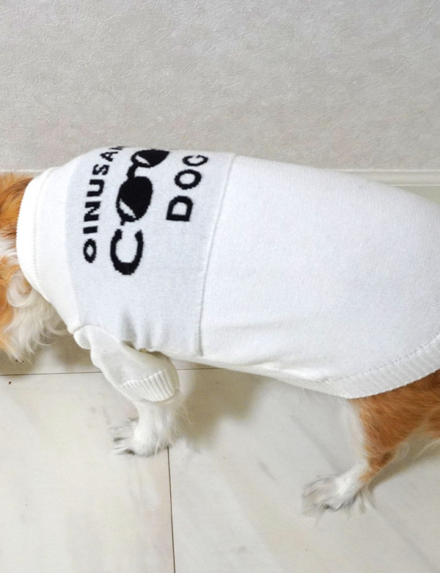 OINUSAMA ONEKOSAMA COOL DOG クールドッグニット ペット服 | おいぬ 