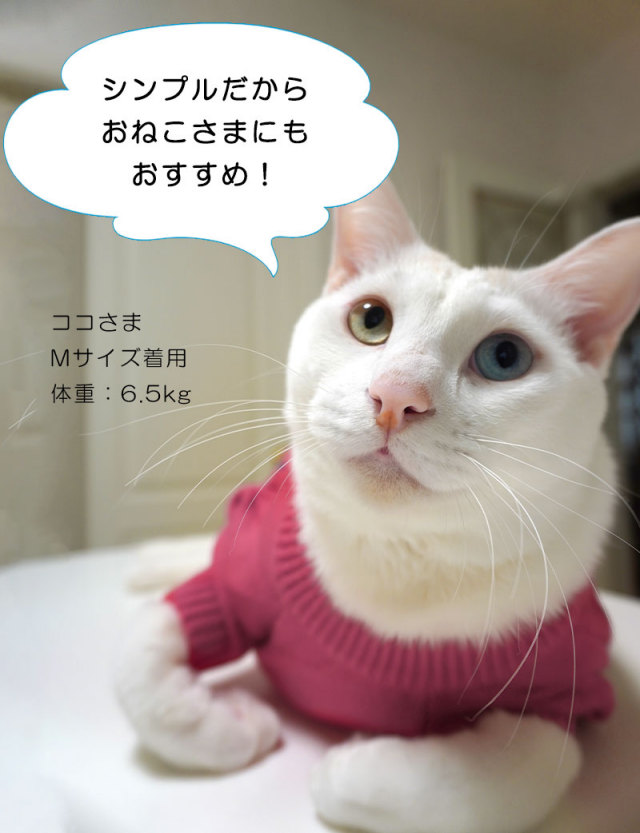 楽天市場】＼まとめ買い最大20%OFF／ ONEKOSAMA 日本製 WALK