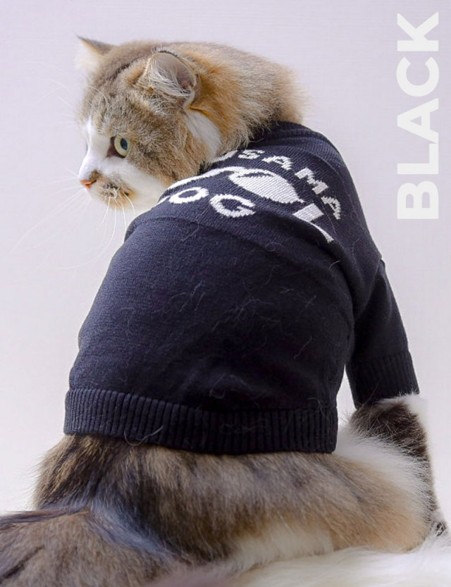 OINUSAMA ONEKOSAMA COOL DOG クールドッグニット ペット服 | おいぬ 