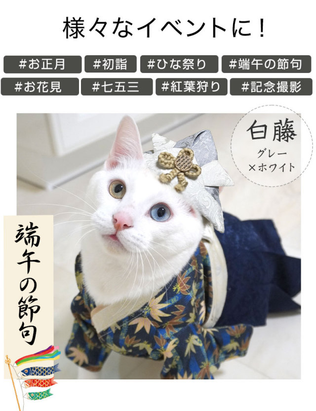 OINUSAMA ONEKOSAMA ペット用兜 | おいぬさま おねこさま