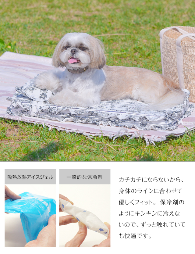 エアリーウォッシュ専用カバー トワルドジュイ柄 枕 アイスジェル6個 
