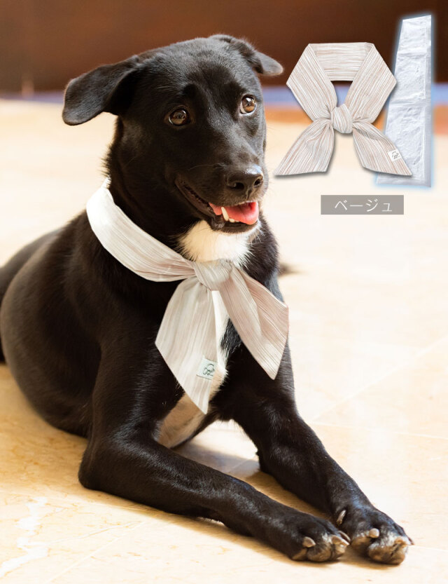 PRADA 犬用バンダナ型首輪 ブラック PRADA 犬用バンダナ型首輪 ブラック