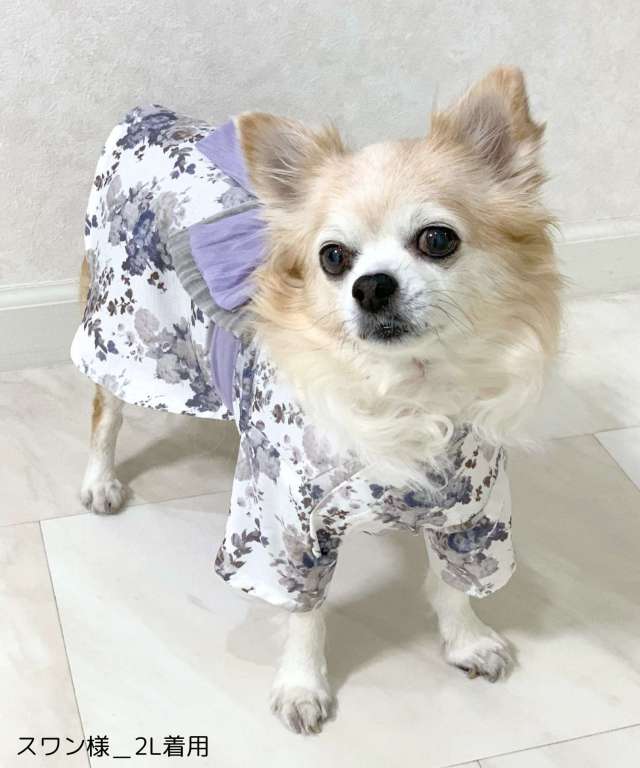 OINUSAMA ONEKOSAMA DESIGNERS GUILD コラボ ペット浴衣 ドッグ ペット 