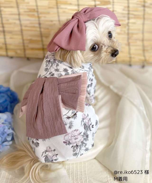 Amazon | ONEKOSAMA OINUSAMA 犬 いぬ イヌ 服 猫 ネコ ねこ 着物 和装 和服 袴 ドッグウェア お祭り お正月晴れ着  正月 七五三 小型犬 大型犬 小型 大型 兜 コスプレ おねこさま おいぬさま お猫さま お犬さま [ネイビー] | ONEKOSAMA | 