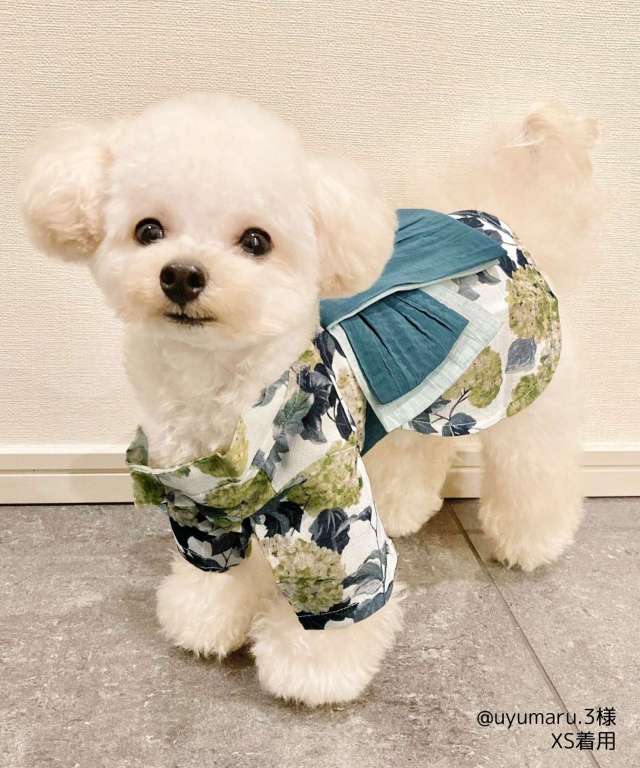 犬服　ribbonbon୨୧　ハンドメイド 93606c7ebe8cdda981fca1efd37572