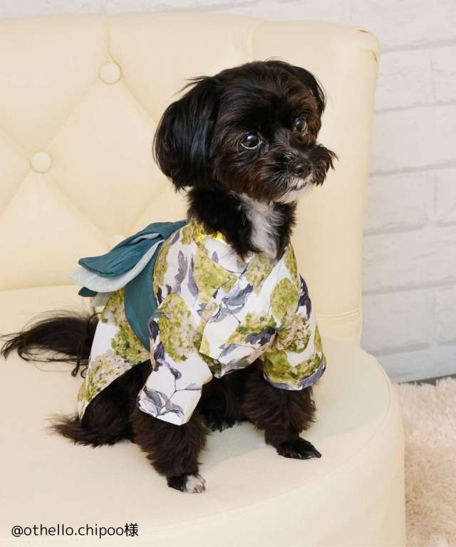専用☆●犬服●ハンドメイド 胴43 NO.663 犬服ハンドメイドペット用品♡boss様専用♡浴衣オーダー♡