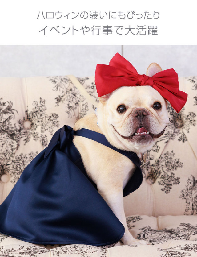 Pet a portre リボンワンピースxxs Pet a portre リボンワンピースxxs