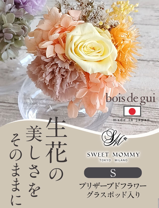 丸の内発 プリザーブドフラワー【S グラスポッド】 【送料無料
