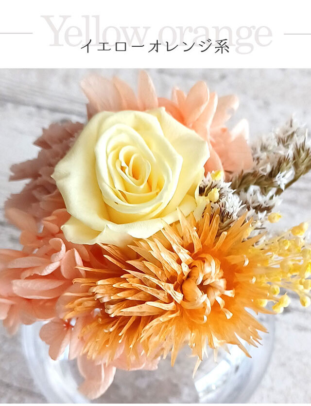 丸の内発 プリザーブドフラワー【S グラスポッド】 【送料無料