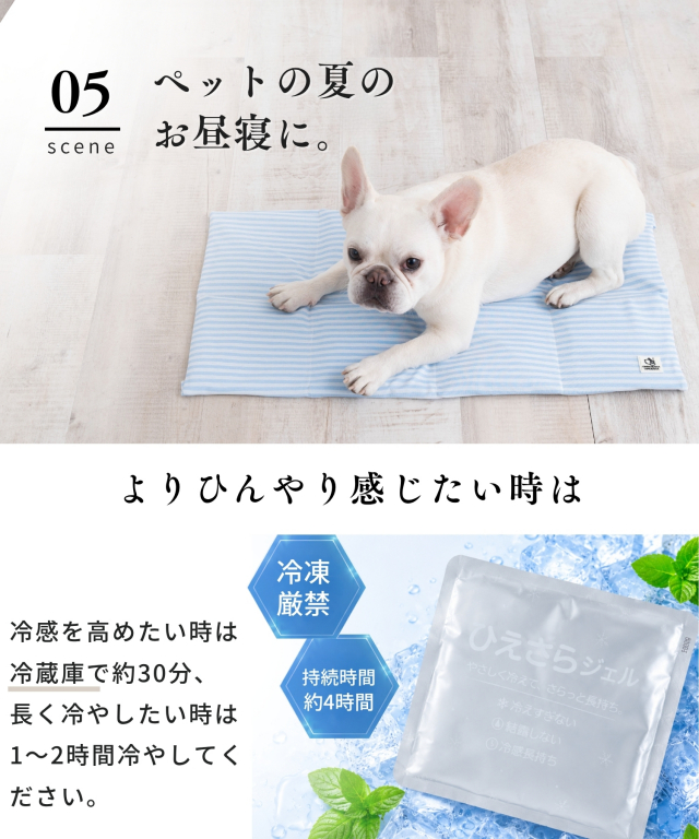 ひえさらジェル 日本製 吸熱放熱剤アイスジェル（単品）| マタニティ