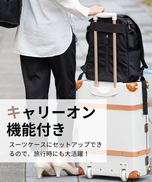 マザーズリュック ベビーカーフック付き (20L) 【DAILY