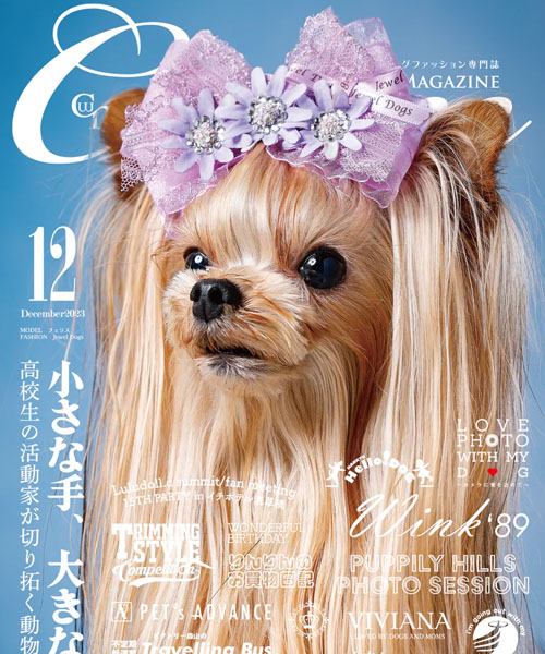 Cuun12月号2023