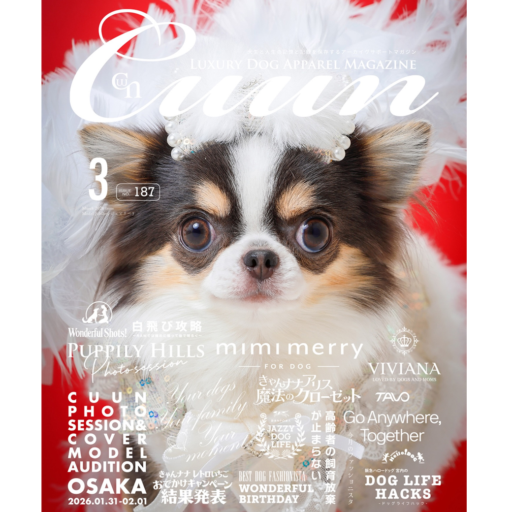 Cuun3月号2026