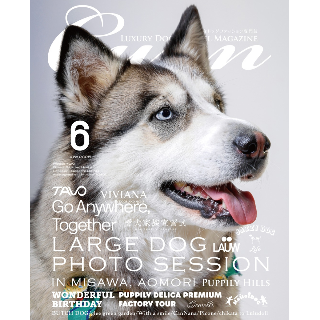 Cuun6月号2025