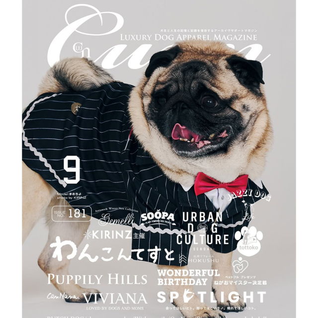 Cuun9月号2025