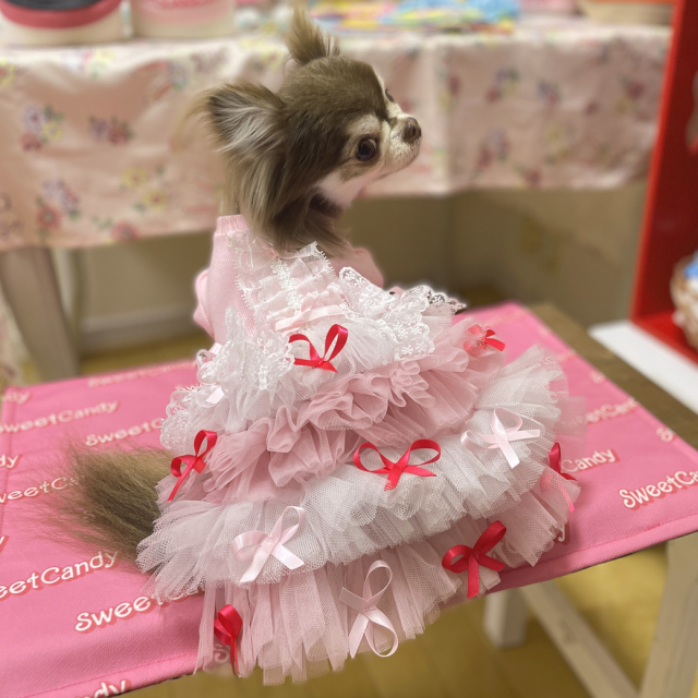 先行ご予約商品※【SweetCandy】おてんばプリンセスドレス| ワンちゃん