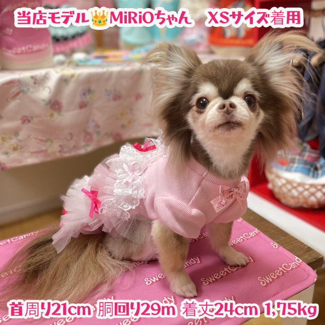 先行ご予約商品※【SweetCandy】おてんばプリンセスドレス| ワンちゃん