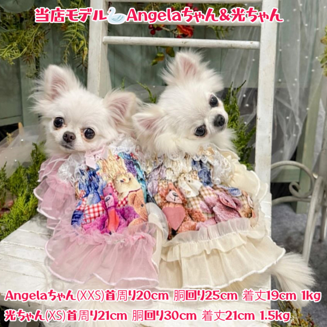 accu miliaコラボ】Cutie Bear Dress| ワンちゃんのセレクトショップ