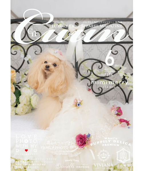 Cuun６月号2023