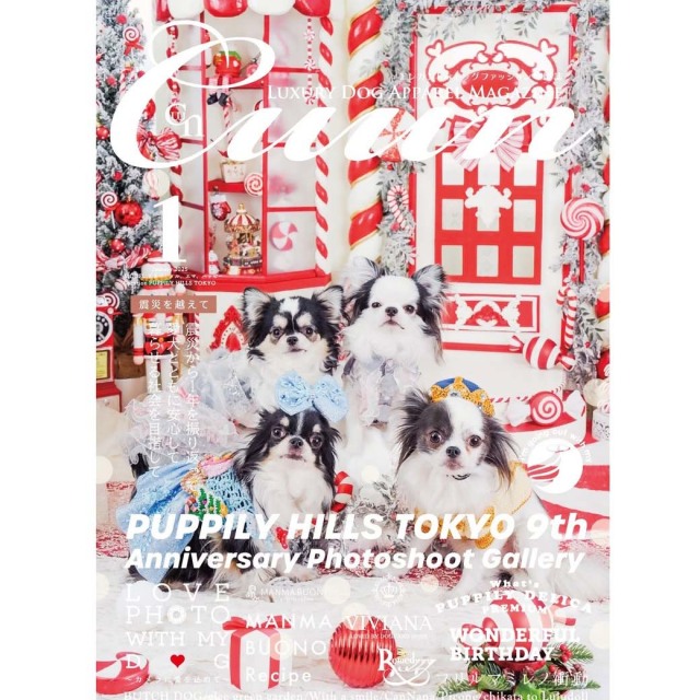 Cuun1月号2025