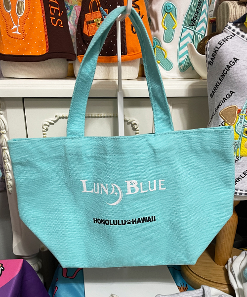 ルナブルーLUNABLUEお散歩バックキャリーバッグ ☆レア☆【Luna Blue☆ルナブルー】ウーファニー お散歩バッグ