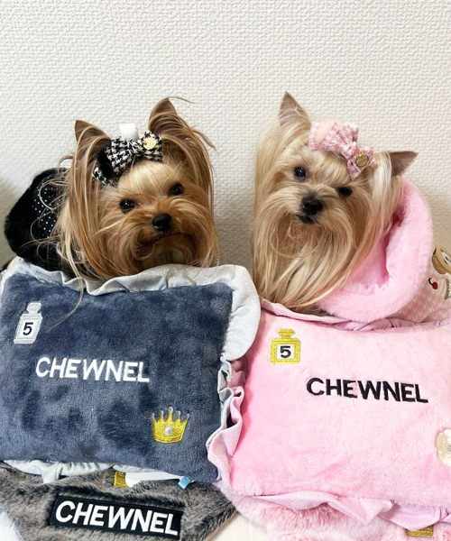 Luna Blue☆ルナブルー】チュウネル ドッグピロー | ワンちゃんの