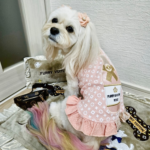 美品 ルナブルー ヘアメス シャンパンタンク S つらかっ 