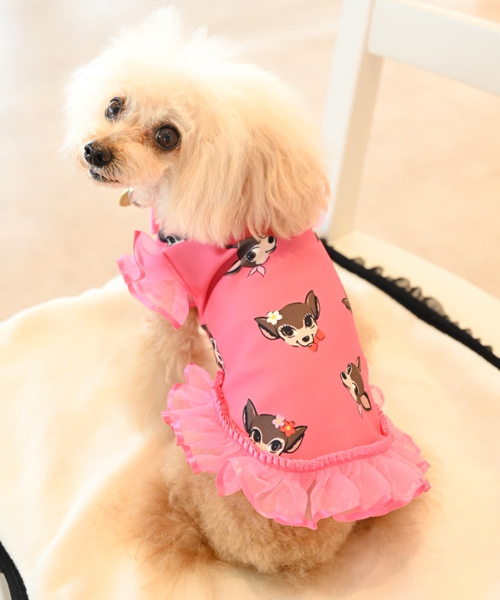 BABYMONSTER ベビモン Hello ソウルコン パンツ ブルー フリー BABYMONSTER ONLINE SHOP