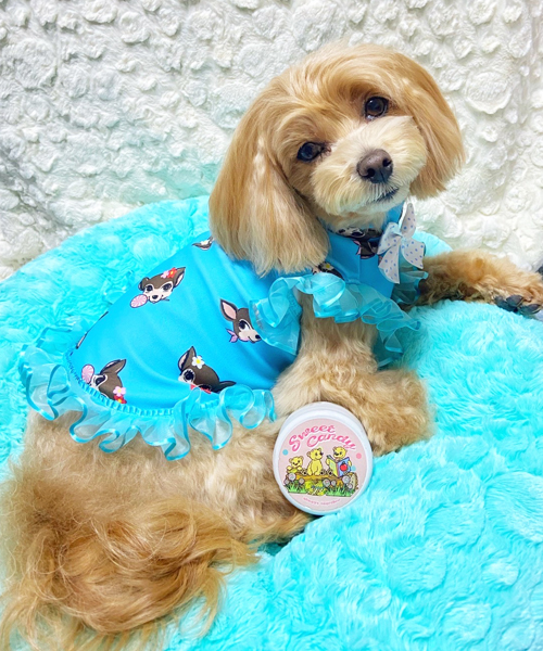 BABYMONSTER ベビモン Hello ソウルコン パンツ ブルー フリー BABYMONSTER ONLINE SHOP