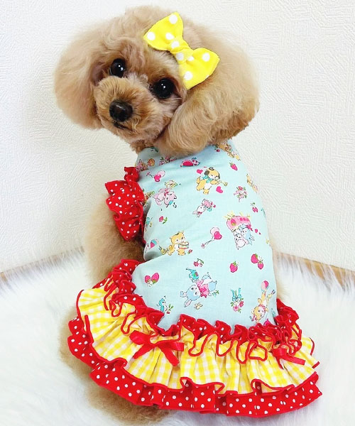 Sweet Candy】ラムネちゃんワンピース | ワンちゃんのセレクトショップ