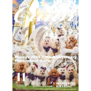 Cuun11月号2024