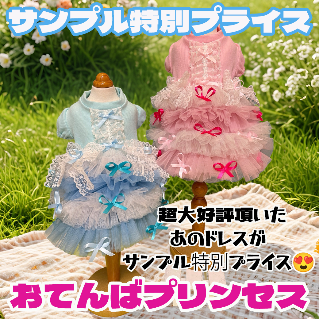 ワンちゃんのセレクトショップ【SweetCandy】