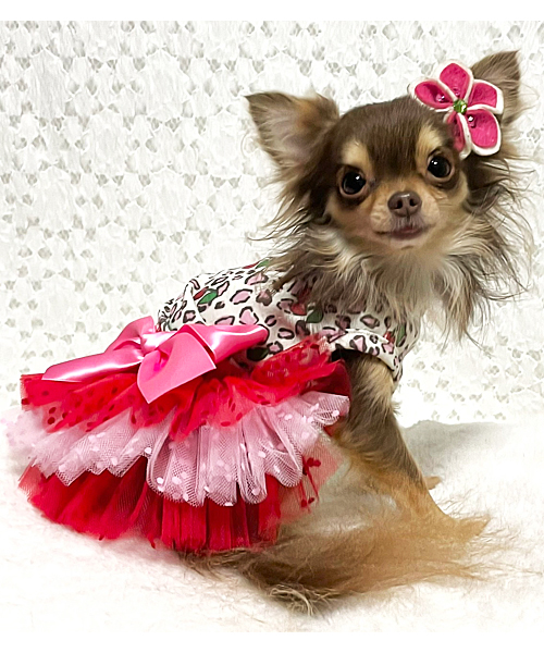 【Sweet Candy】レオパチェリーチュチュドレス