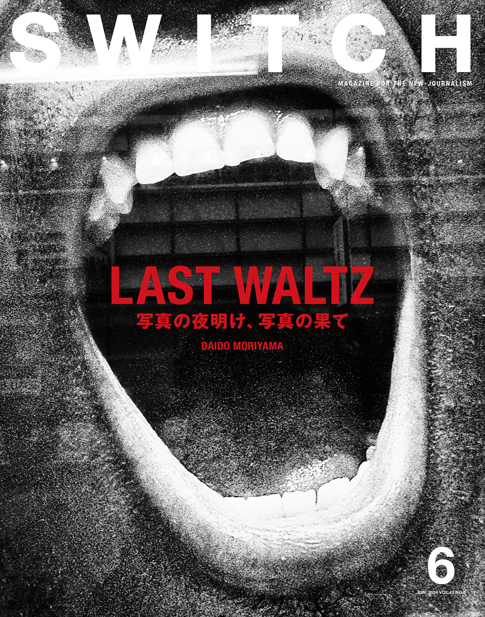 SWITCH Vol.42 No.6 特集 LAST WALTZ  写真の夜明け、写真の果て
