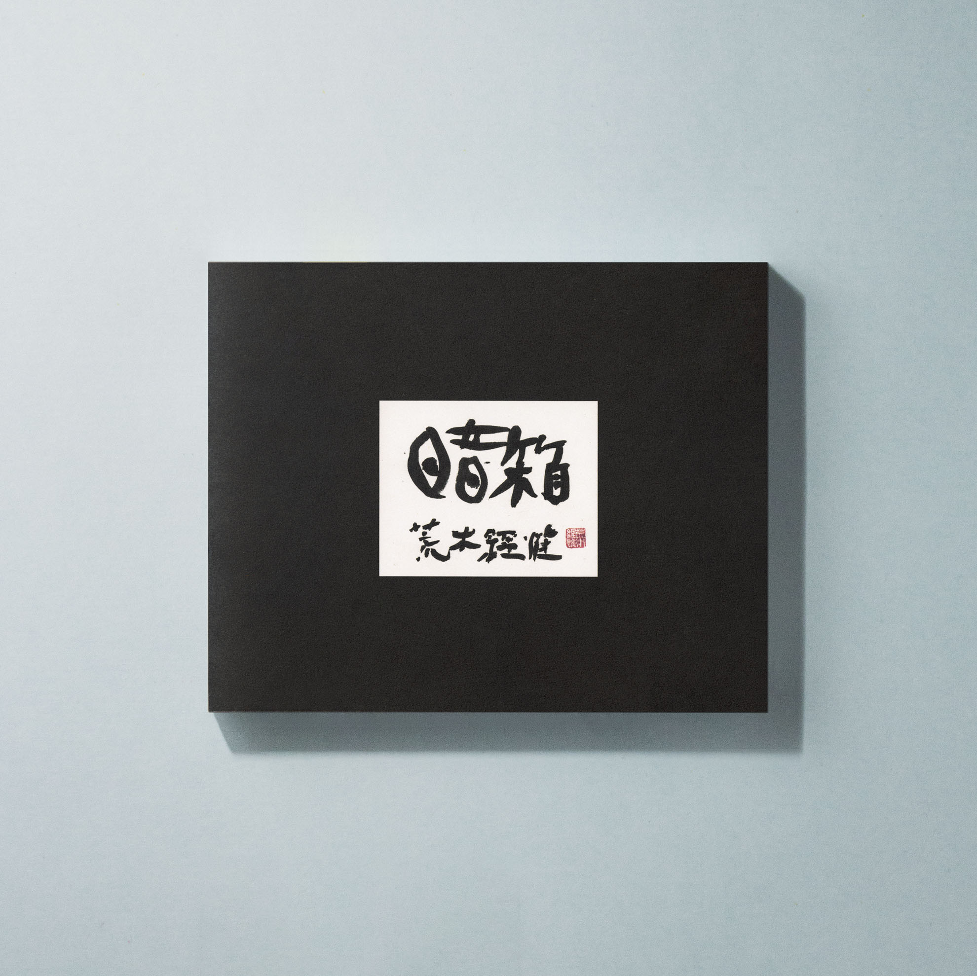 荒木経惟写真集『暗箱』