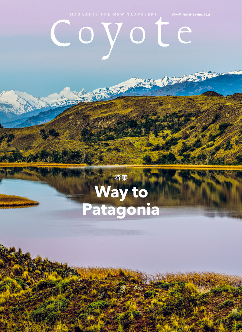Coyote No.85 Way to Patagonia