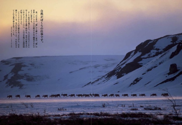 COYOTE No.53 アラスカ 星野道夫の暮らし