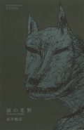 新井敏記『鏡の荒野　EDITOR at WORK』