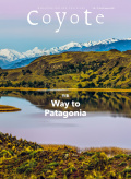 Coyote No.85 Way to Patagonia